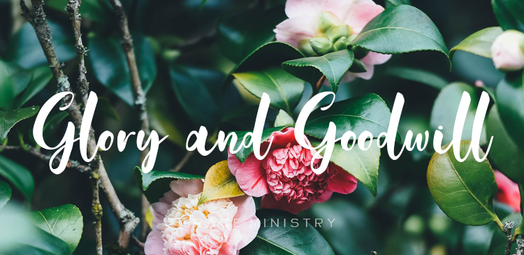 Bro Andrew Richard Daily Devotion - Glory and Goodwill